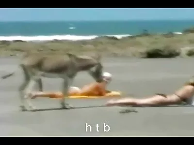 Пікап за соло еротика гроші, коли безкоштовно не дають.