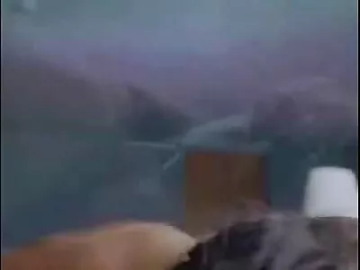 Городянка Іра трахкає еротика на природі з сільським хлопчиськом Пашкою в лісі.