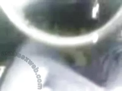 Величезний жилистий член соло еротика